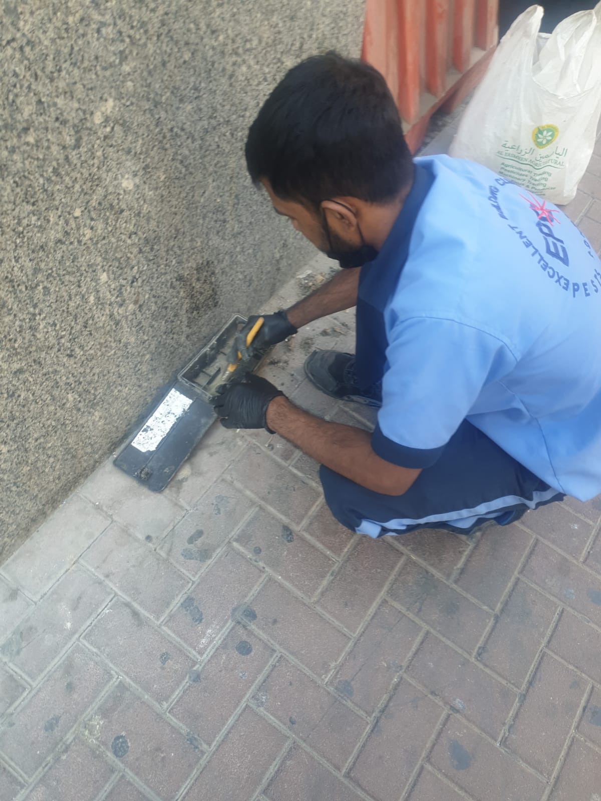 Professional Pest Control Service 1