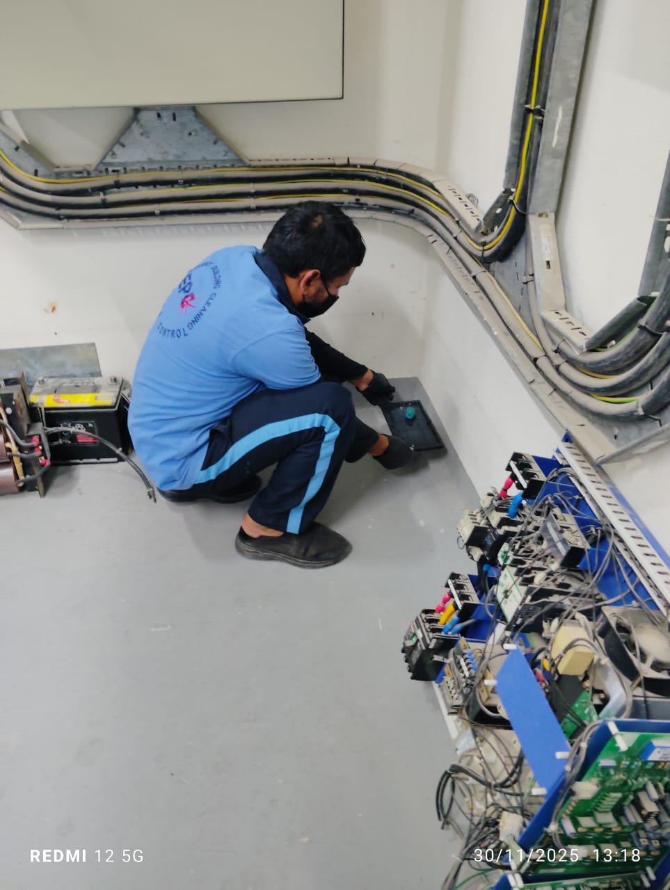 Professional Pest Control Service 8